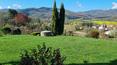 Toscana Immobiliare - Typical Tuscany, country house, for sale, province of Arezzo