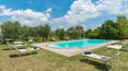Toscana Immobiliare - Newly renovated farmhouse with swimming pool