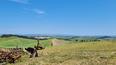 Toscana Immobiliare - Ferme à rénover à vendre Val d'Orcia Sienne Toscane