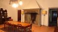 Toscana Immobiliare - Farm estate with vineyards, olive groves for sale in Florence Tuscany