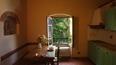 Toscana Immobiliare - Farm estate with vineyards, olive groves for sale in Florence Tuscany