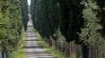 Toscana Immobiliare - Granja, finca con viñedos y olivares en venta en Florencia Toscana