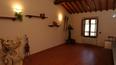 Toscana Immobiliare - Farm estate with vineyards, olive groves for sale in Florence Tuscany