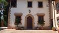 Toscana Immobiliare - Ferme, domaine avec vignes et oliveraies à vendre à Florence Toscane