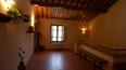 Toscana Immobiliare - Azienda agricola, tenuta con vigneti e oliveti in vendita a Firenze