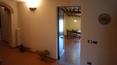 Toscana Immobiliare - Farm estate with vineyards, olive groves for sale in Florence Tuscany