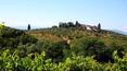 Toscana Immobiliare - Farm estate with vineyards, olive groves for sale in Florence Tuscany