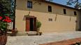 Toscana Immobiliare - Ferme, domaine avec vignes et oliveraies à vendre à Florence Toscane