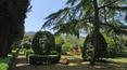 Toscana Immobiliare - Bauernhof, Anwesen mit Weinbergen und Olivenhainen in Florenz Toskana