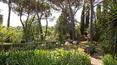 Toscana Immobiliare - Immobilier de luxe à vendre en Toscane
