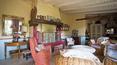 Toscana Immobiliare - Immobilier de luxe à vendre en Toscane