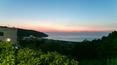 Toscana Immobiliare - Hotel, resort for sale in Puglia, Gargano