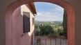 Toscana Immobiliare - Farm Estate with vineyards for sale Florence, Tuscany