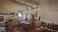 Toscana Immobiliare - Farm Estate with vineyards for sale Florence, Tuscany