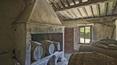 Toscana Immobiliare - Farm Estate with vineyards for sale Florence, Tuscany