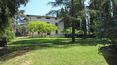 Toscana Immobiliare - Farm Estate with vineyards for sale Florence, Tuscany