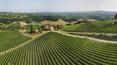 Toscana Immobiliare - Farm Estate with vineyards for sale Florence, Tuscany
