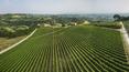 Toscana Immobiliare - Farm Estate with vineyards for sale Florence, Tuscany