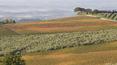 Toscana Immobiliare - Farm Estate with vineyards for sale Florence, Tuscany