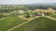 Toscana Immobiliare - Farm Estate with vineyards for sale Florence, Tuscany