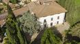 Toscana Immobiliare - Farm Estate with vineyards for sale Florence, Tuscany