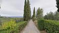 Toscana Immobiliare - Farm estate with vineyards, olive groves for sale in Florence Tuscany