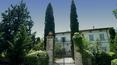 Toscana Immobiliare - Farm estate with vineyards, olive groves for sale in Florence Tuscany