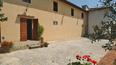 Toscana Immobiliare - Farm estate with vineyards, olive groves for sale in Florence Tuscany