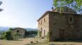 Toscana Immobiliare - Zu verkaufen in der Toskana Bauernhof mit Weinberg, Olivenhain, Bauern
