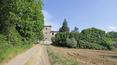 Toscana Immobiliare - A vendre en Toscane ferme avec vignoble, oliveraie, ferme. Arezzo