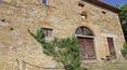 Toscana Immobiliare - For sale in Tuscany farm with vineyard, olive grove, farmhouse. Arezzo
