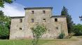 Toscana Immobiliare - Farm with vineyard, olive grove and farmhouse for sale Arezzo, Tuscany