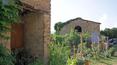 Toscana Immobiliare - Zu verkaufen in der Toskana Bauernhof mit Weinberg, Olivenhain, Bauern