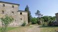 Toscana Immobiliare - A vendre en Toscane ferme avec vignoble, oliveraie, ferme. Arezzo
