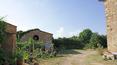 Toscana Immobiliare - A vendre en Toscane ferme avec vignoble, oliveraie, ferme. Arezzo