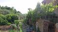 Toscana Immobiliare - For sale in Tuscany farm with vineyard, olive grove, farmhouse. Arezzo