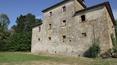 Toscana Immobiliare - Podere con vigneto, oliveto e casale in vendita Arezzo, Toscana