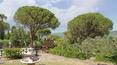 Toscana Immobiliare - Rustic villa with swimming pool and garden for sale Arezzo, Tuscany