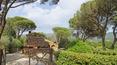 Toscana Immobiliare - Rustikale Villa mit Swimmingpool und Garten zu verkaufen Arezzo Toskan