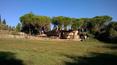 Toscana Immobiliare - Rustic villa with swimming pool and garden for sale Arezzo, Tuscany