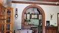 Toscana Immobiliare - Country house in Tuscany with land for sale in Arezzo