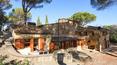 Toscana Immobiliare - country villa for sale in Arezzo Tuscany