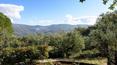 Toscana Immobiliare - Rustikale Villa mit Swimmingpool und Garten zu verkaufen Arezzo Toskan