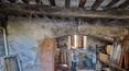 Toscana Immobiliare -