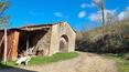 Toscana Immobiliare -