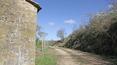 Toscana Immobiliare -