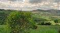 Toscana Immobiliare - Farm with farmhouse for sale Castiglione d'Orcia, Tuscany