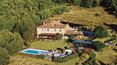 Toscana Immobiliare - Farm with farmhouse for sale Castiglione d'Orcia, Tuscany