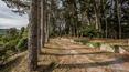 Toscana Immobiliare - Villa con terreno, bosco e dependance in vendita ad Arezzo, Toscana