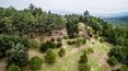 Toscana Immobiliare -